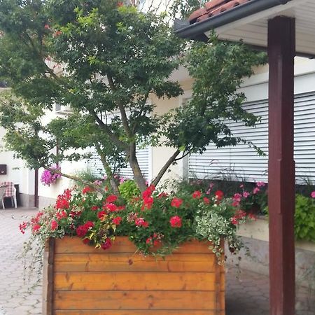 Darja Guesthouse Dob Exterior photo